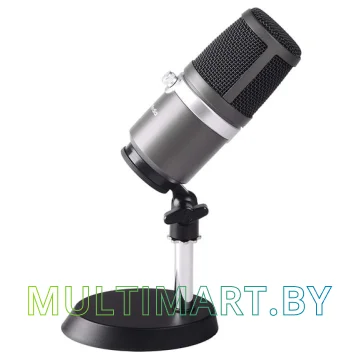 Микрофон AverMedia Live Streamer MIC 310 AM310 картинка 3
